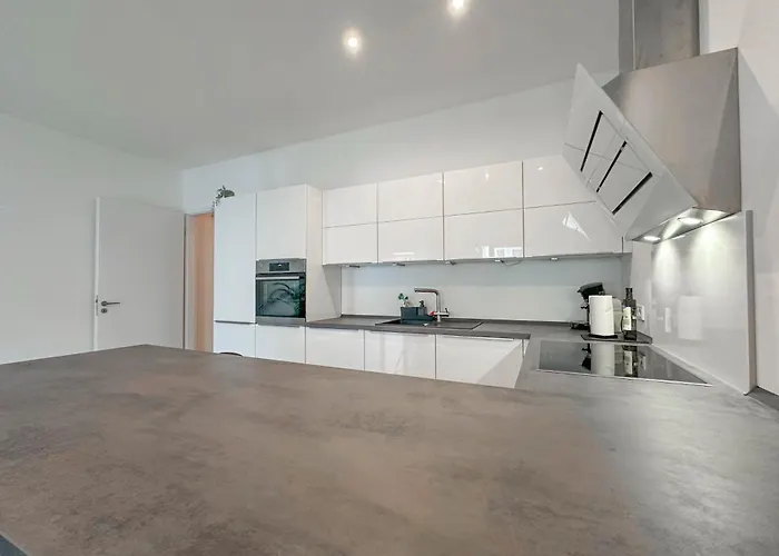 Daire Modernes Trierer Cityloft Mit Grossem Balkon Trier